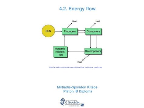 能量流失|Topic 4.2 Energy flow（能量流动）